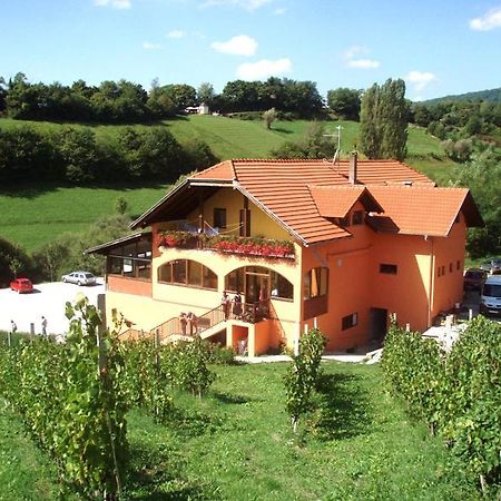 Klet Jana Bed & Breakfast Jastrebarsko Exterior foto