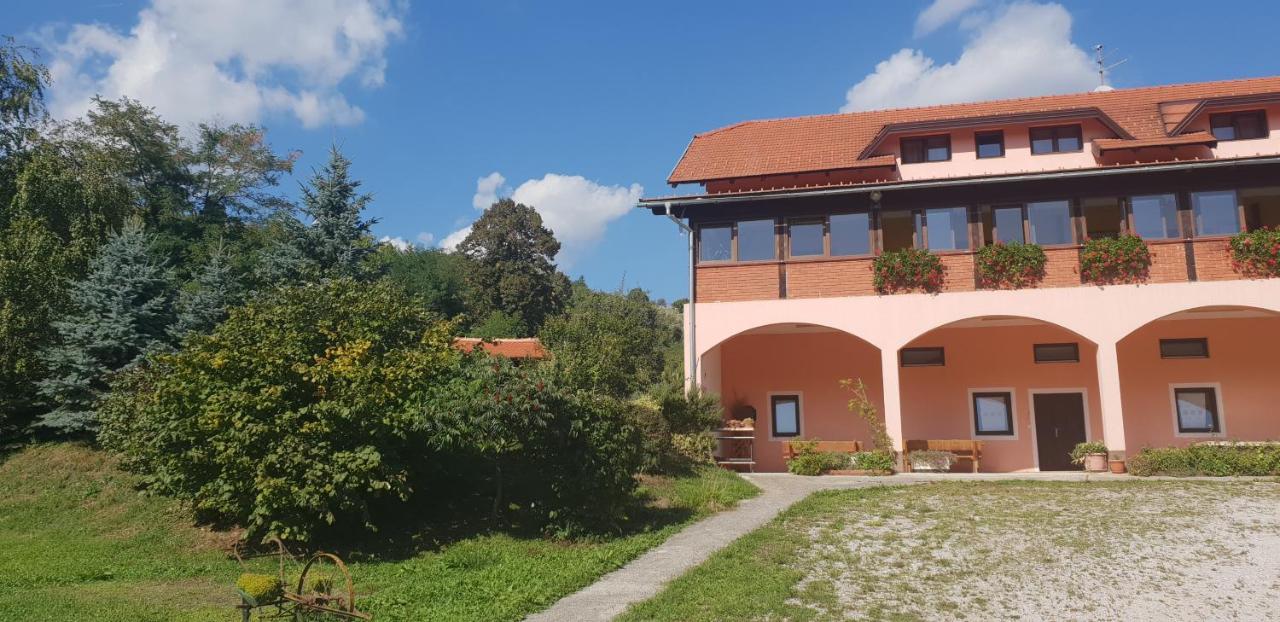 Klet Jana Bed & Breakfast Jastrebarsko Exterior foto