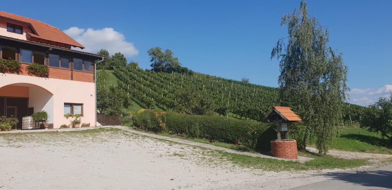 Klet Jana Bed & Breakfast Jastrebarsko Exterior foto