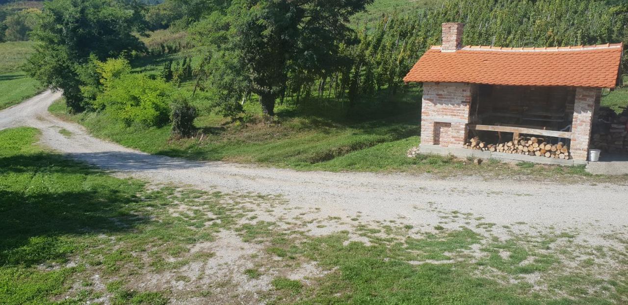 Klet Jana Bed & Breakfast Jastrebarsko Exterior foto