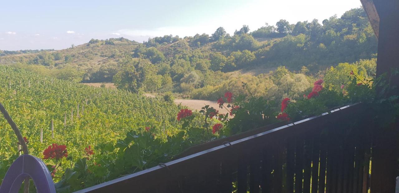 Klet Jana Bed & Breakfast Jastrebarsko Exterior foto